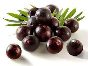 Acai Berry Facts and Information