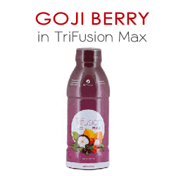 Goji Berry Juice Benefits in TriFusion Max