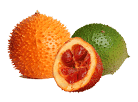Gac Fruit Information