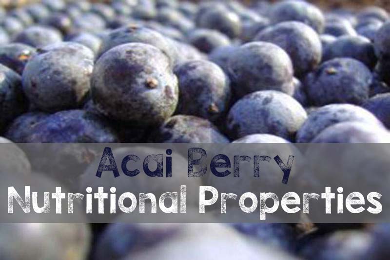 Acai Berry Nutritional Properties