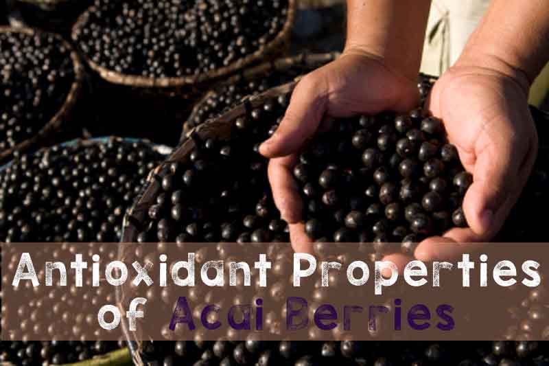 Antioxidant Properties of Acai Berries