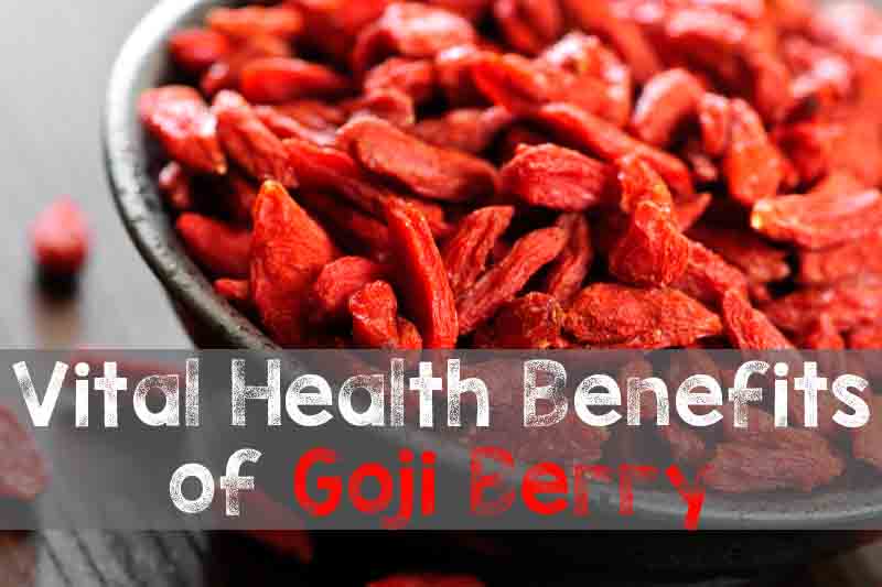 Goji Berry Health Benefits