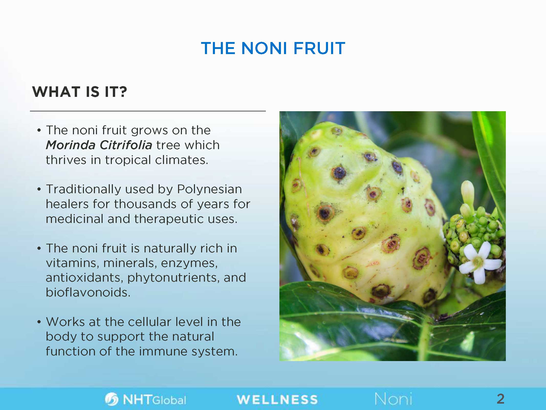 Noni Juice Information - Page 3